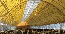 Tensioned membrane building with an arched roof