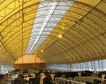 Tensioned membrane building with an arched roof