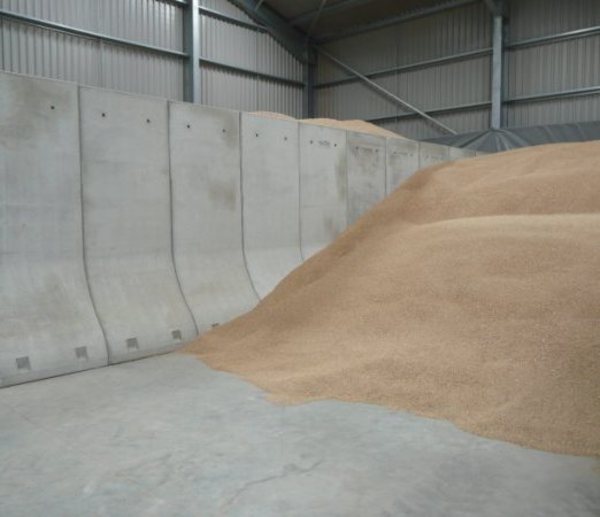 Grain (1)
